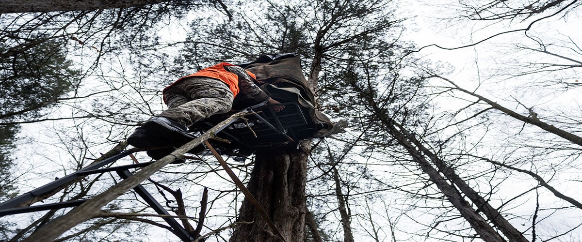 Man climbing up deer stand